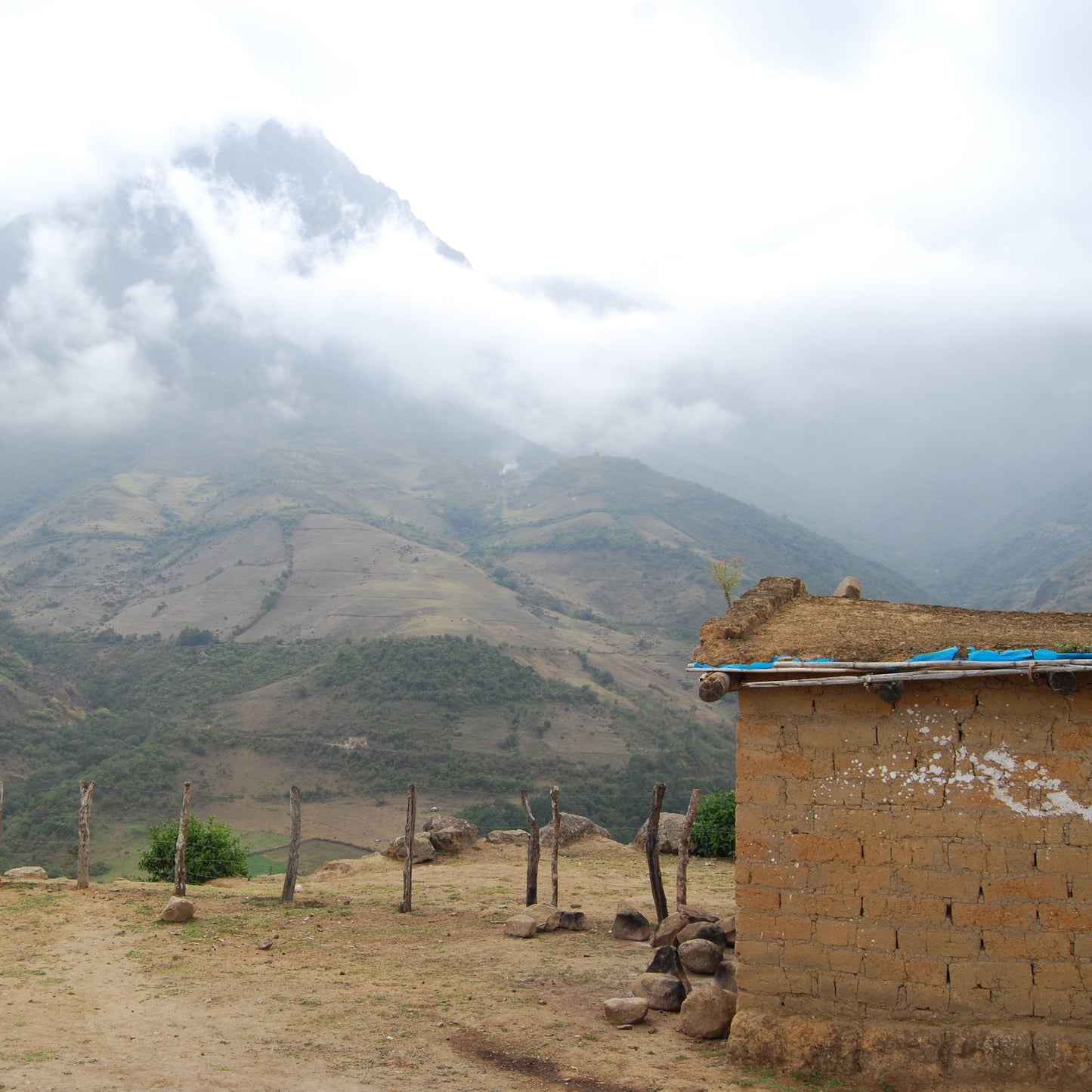 Peru Asproagro (Washed)