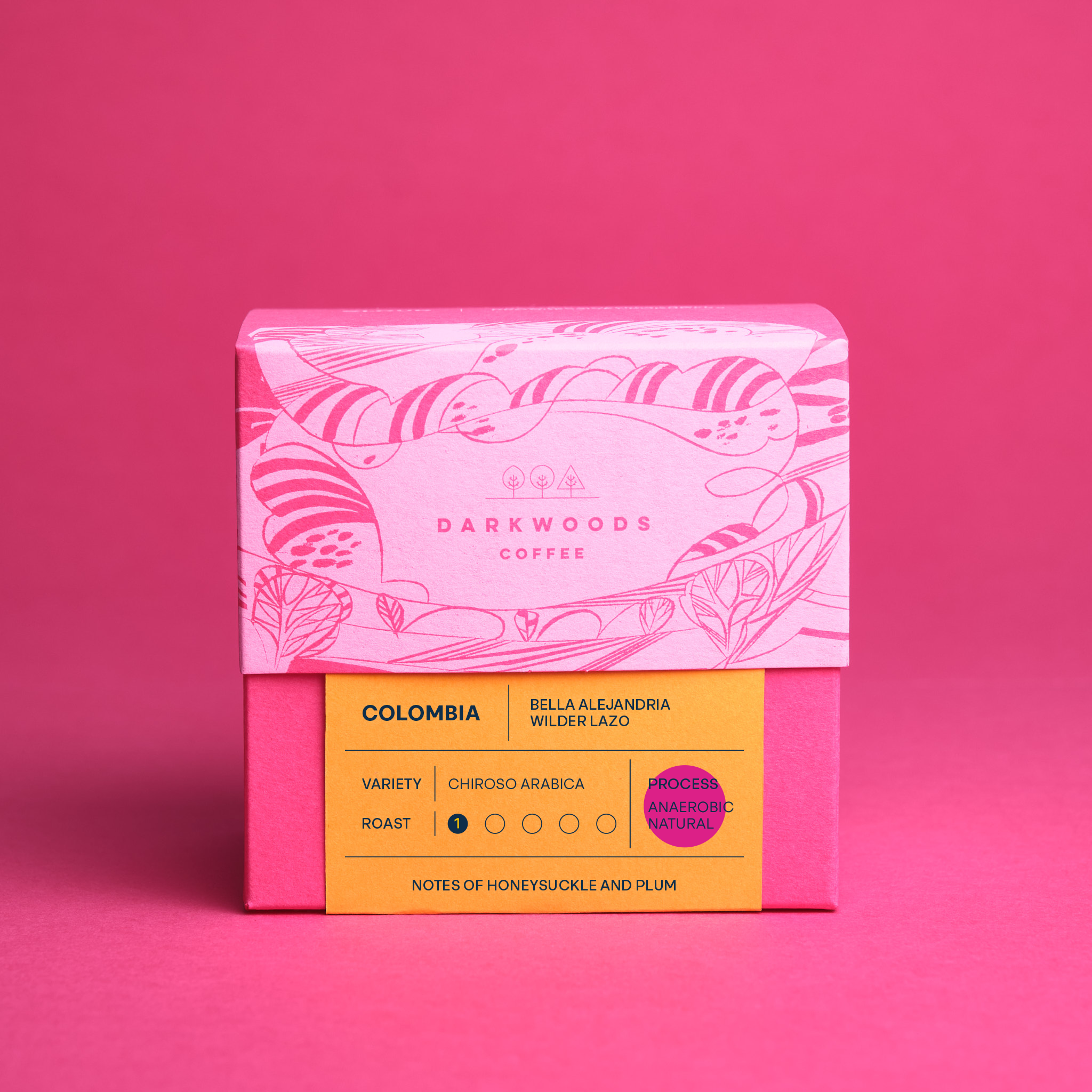 Colombia Bella Alejandria Chiroso (Anaerobic Natural) – Dark Woods