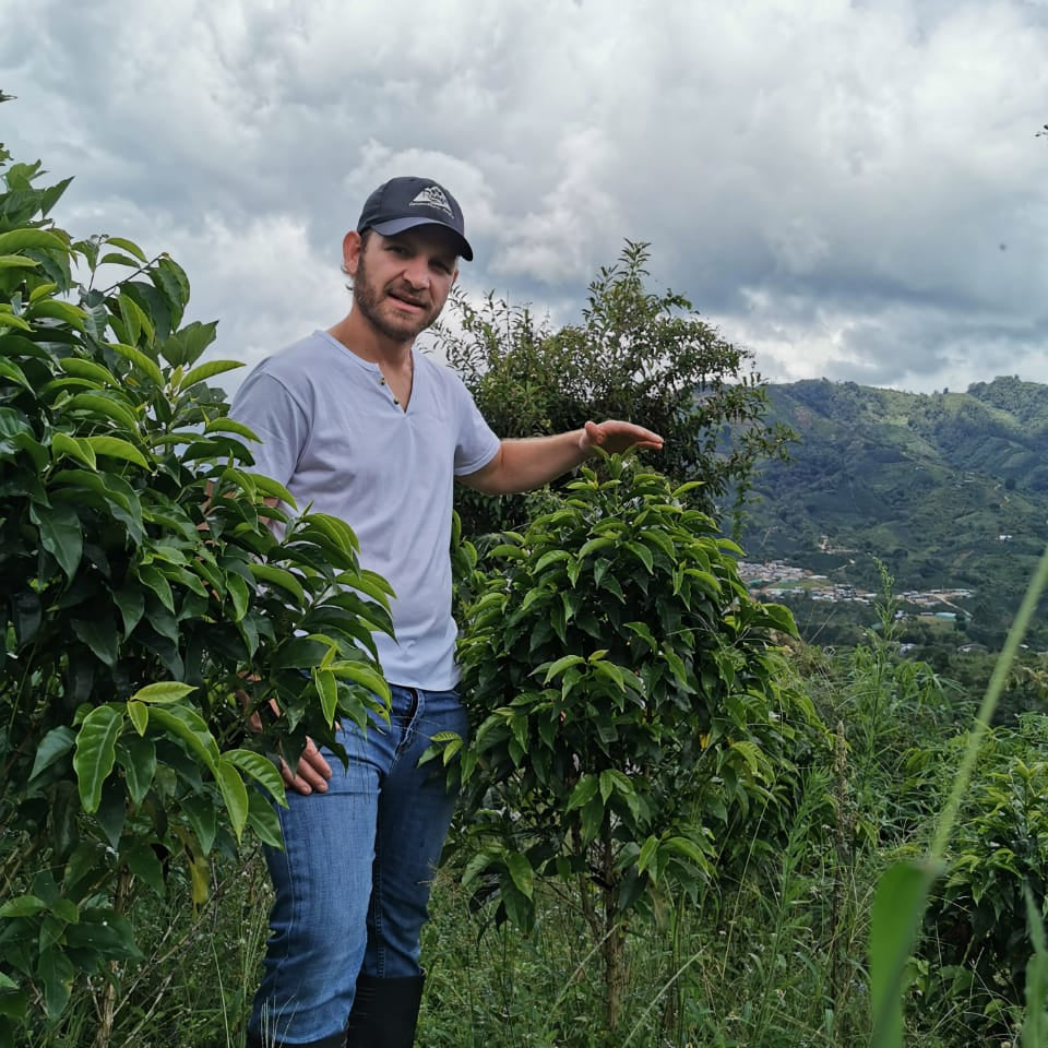 man in cap stood next to coffee plant