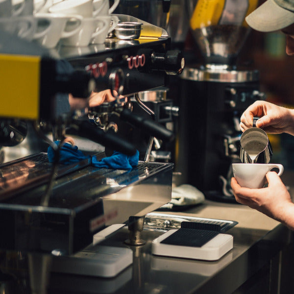 SCA Professional Barista Skills Course