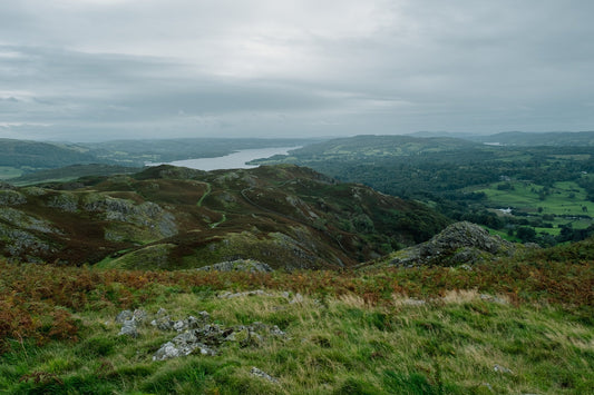 Meet the Dark Woods x Stubble & Co. Collection
