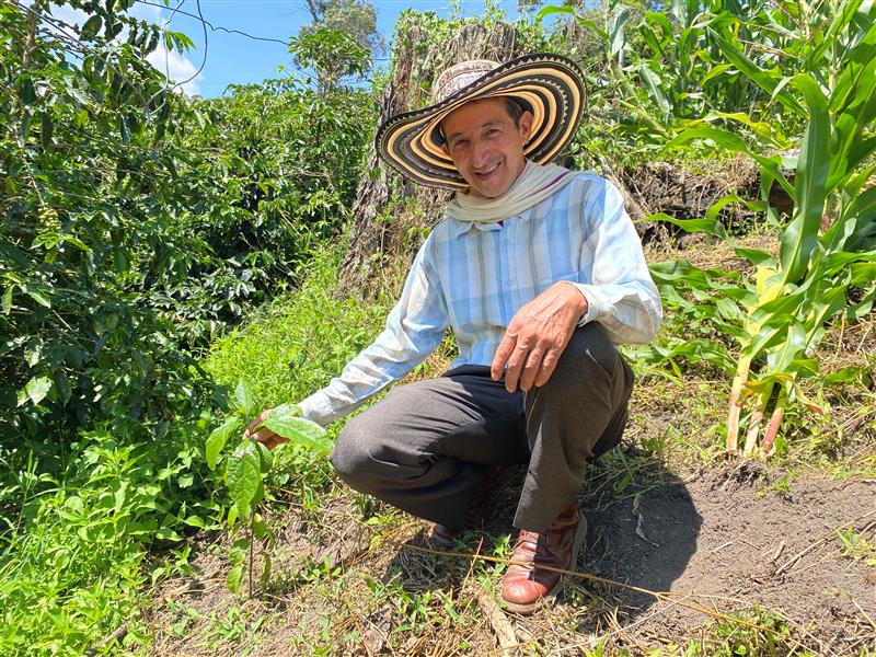 Carbon Mitigation: Shading Farms in Colombia