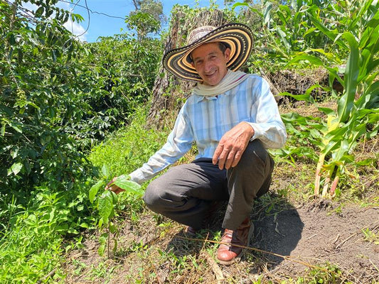 Carbon Mitigation: Shading Farms in Colombia