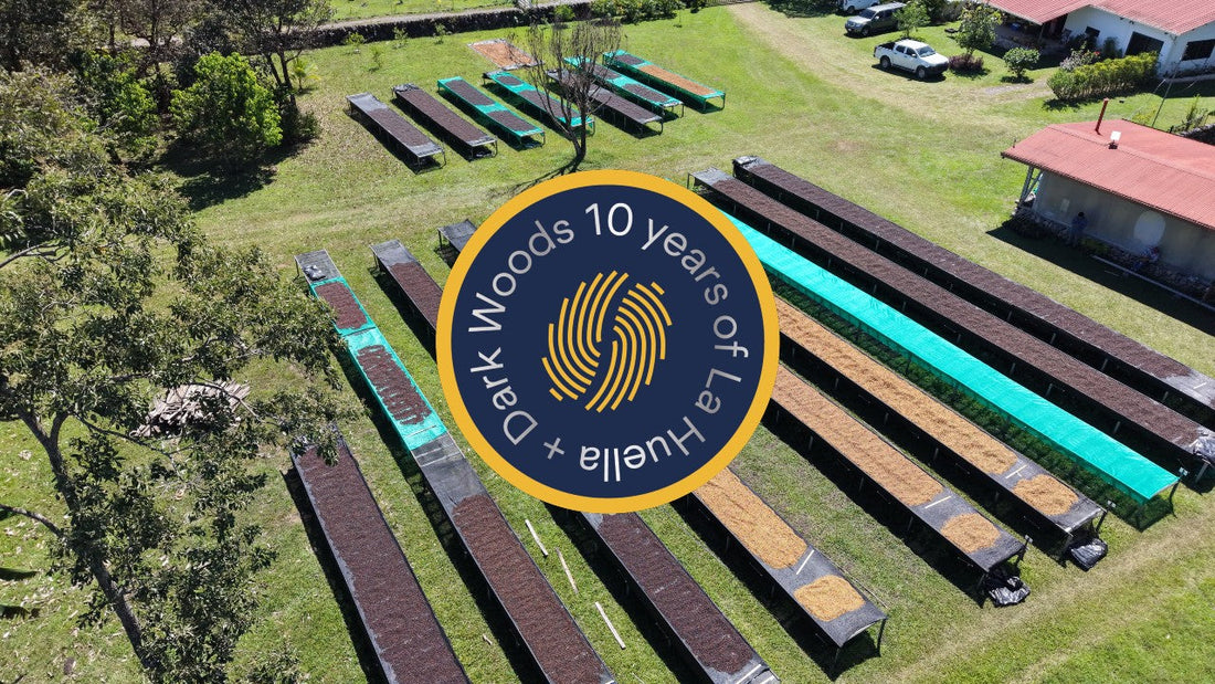 A Decade of Partnership: Dark Woods Coffee & La Huella / Cafe De Panama