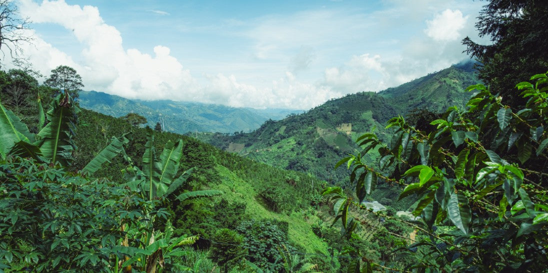 Raising the Bar Together: Good Business Week 2026