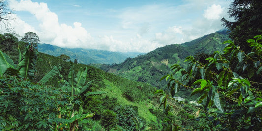 Raising the Bar Together: Good Business Week 2026