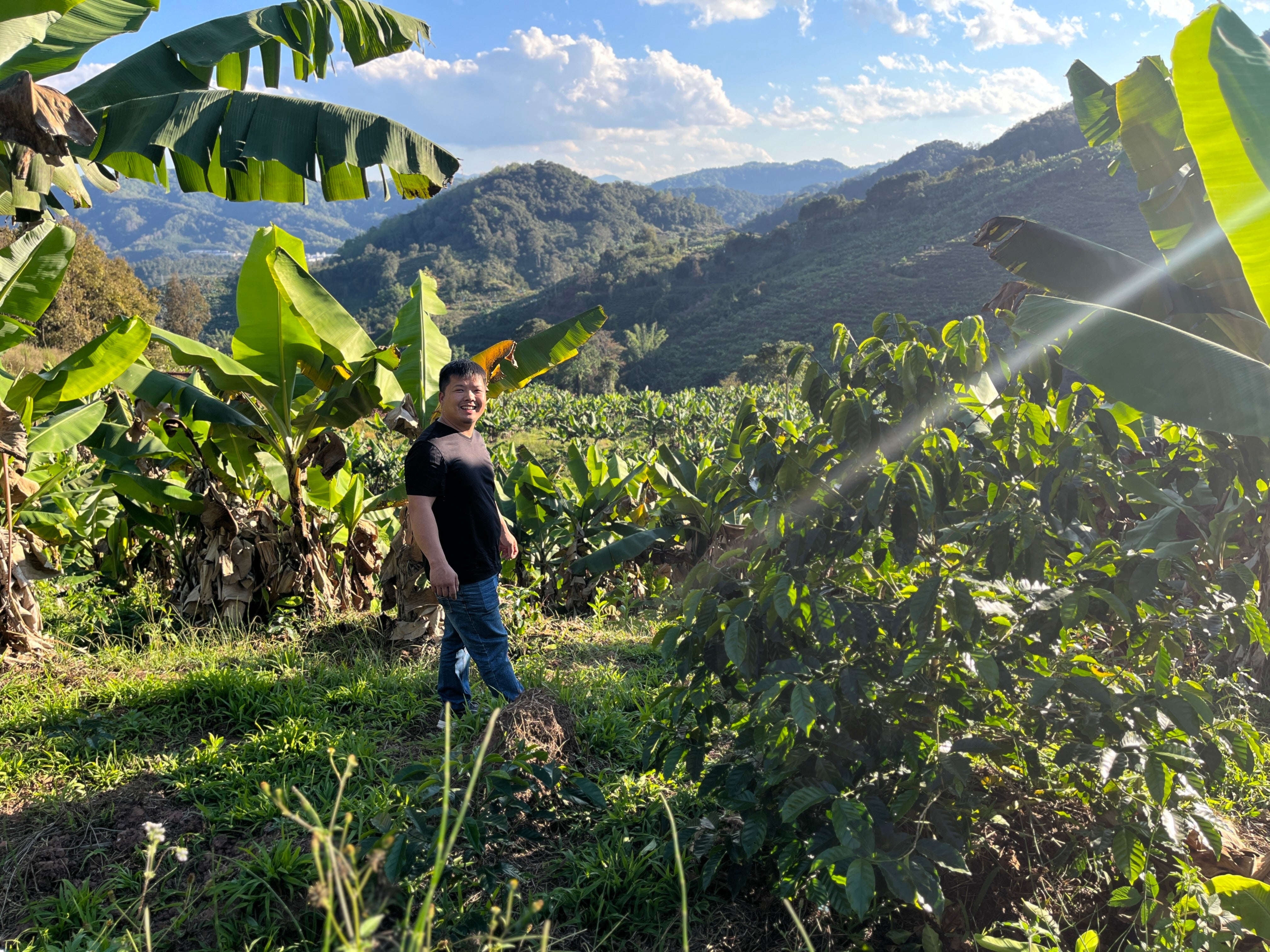 Producer Focus - Gui Ben (China) – Dark Woods Coffee