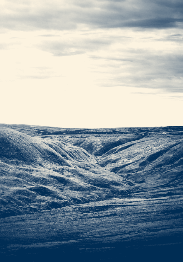 Dark Woods Coffee Near Me Dark Woods Coffee Near Me