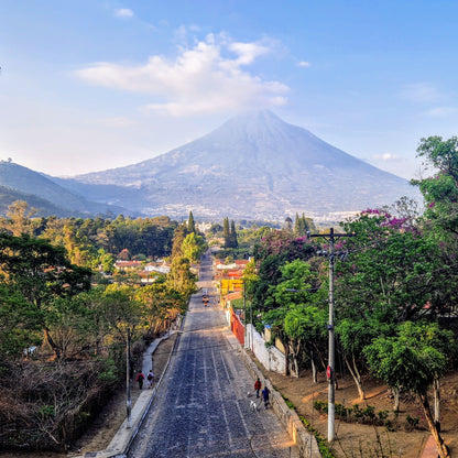 Guatemala Santa Clara Pacamara (Washed)