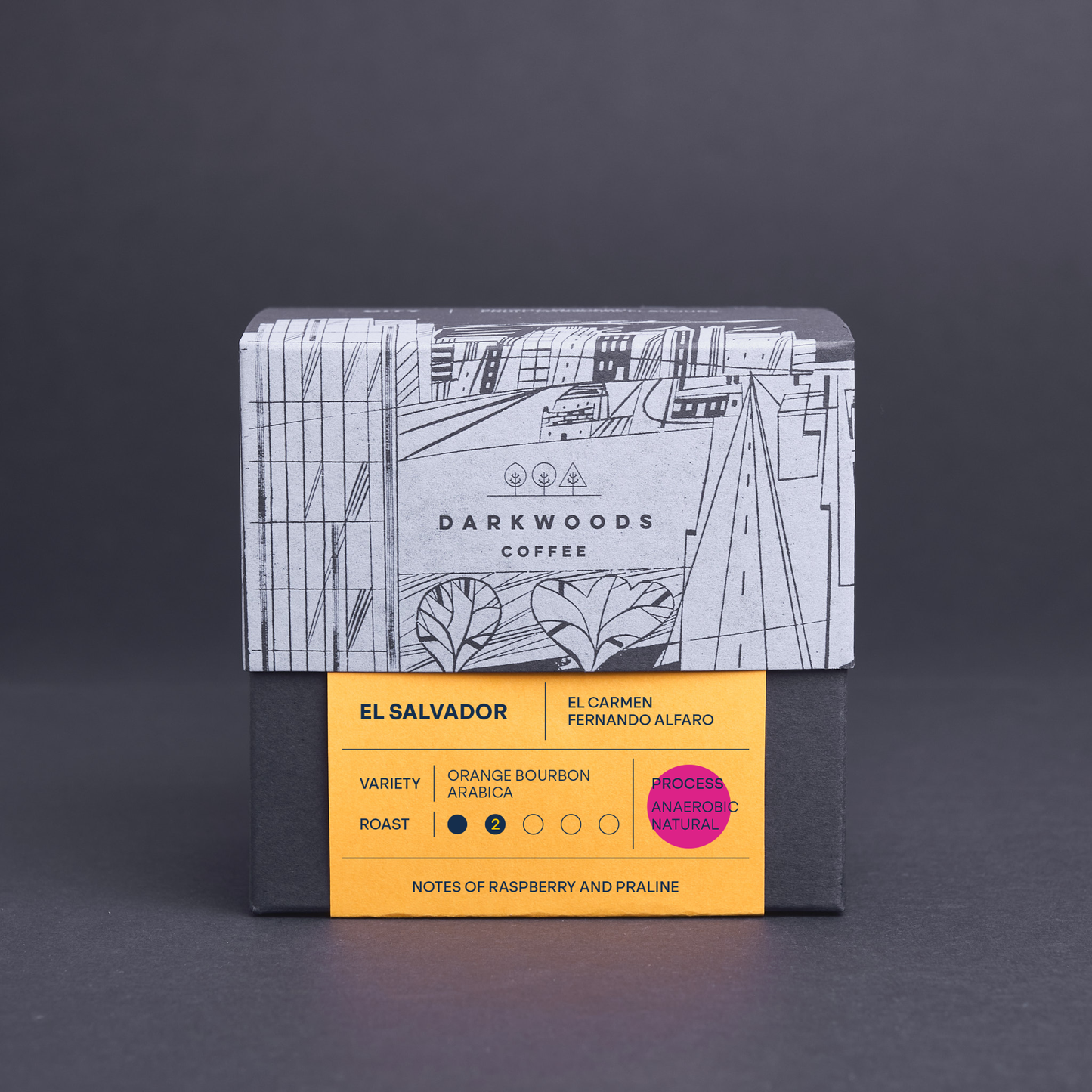 El Salvador El Carmen (Anaerobic Natural)