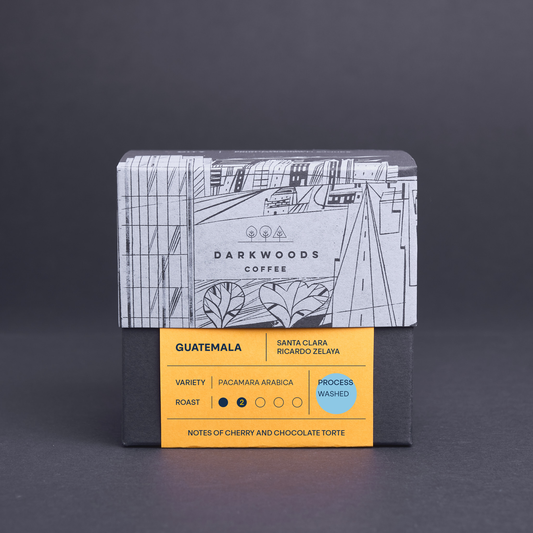 Guatemala Santa Clara Pacamara (Washed)