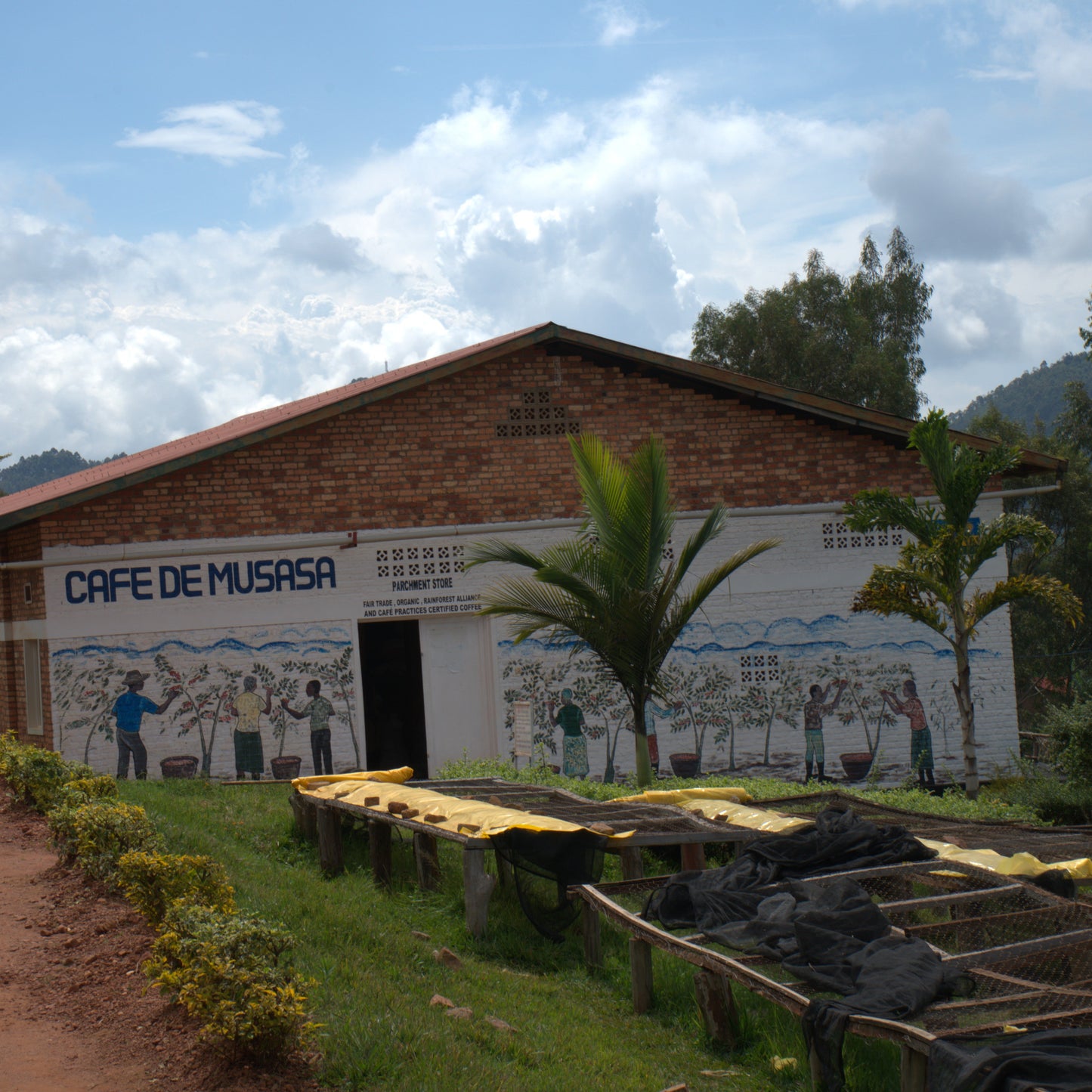 Rwanda Ruli Musasa (Natural)