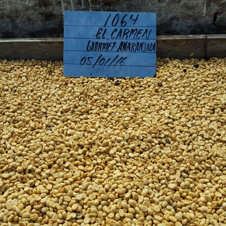 El Salvador El Carmen (Anaerobic Natural)
