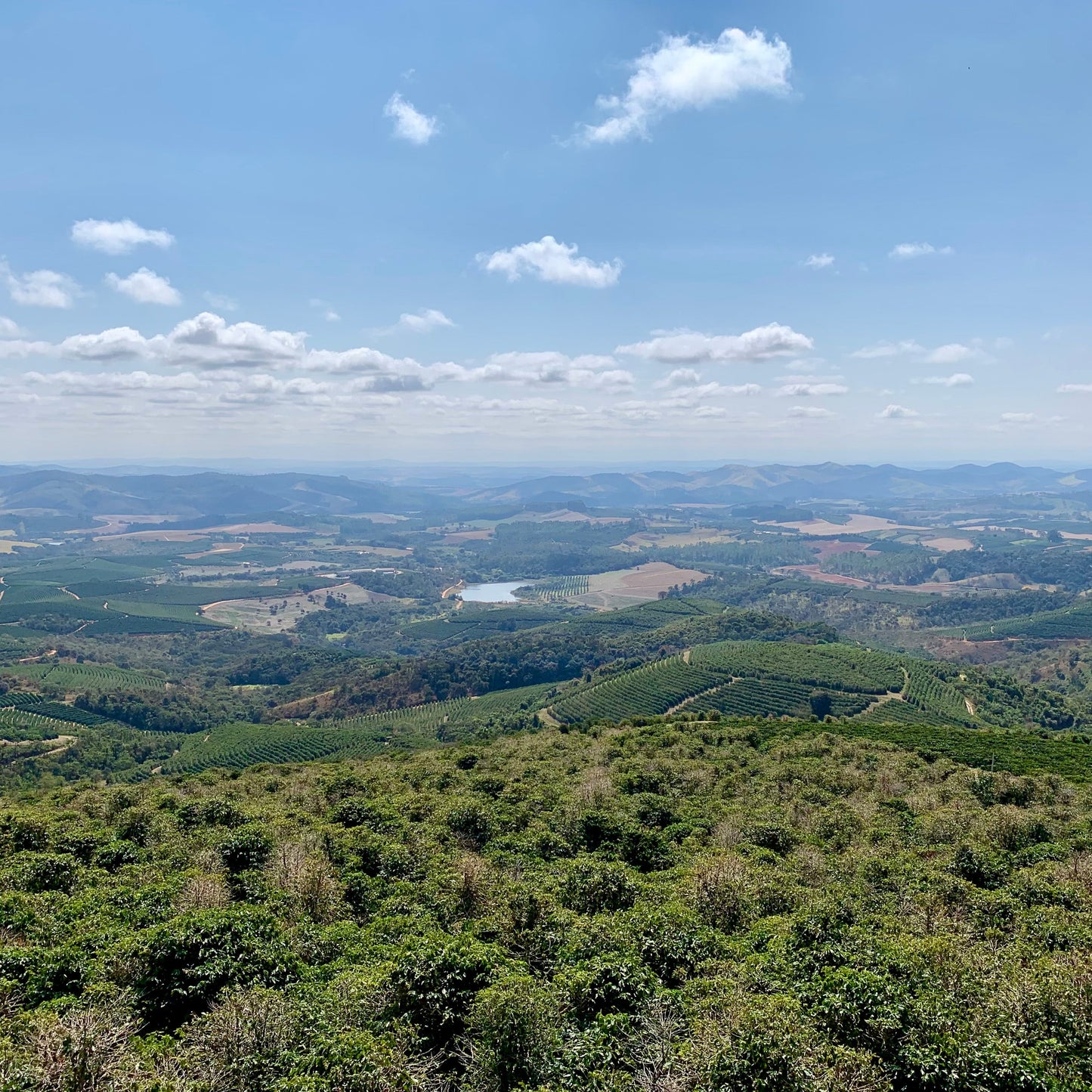 Brazil Ipanema Premier Cru Blue (Anaerobic Natural)