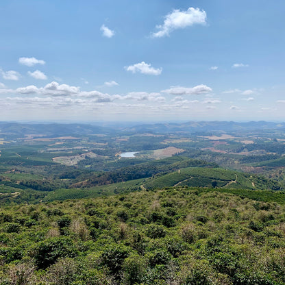 Brazil Ipanema Premier Cru Blue (Anaerobic Natural)