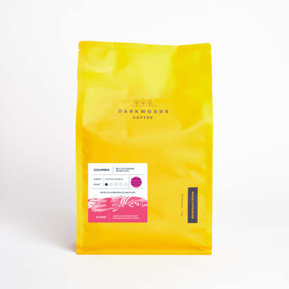 Colombia Bella Alejandria Chiroso (Anaerobic Natural)