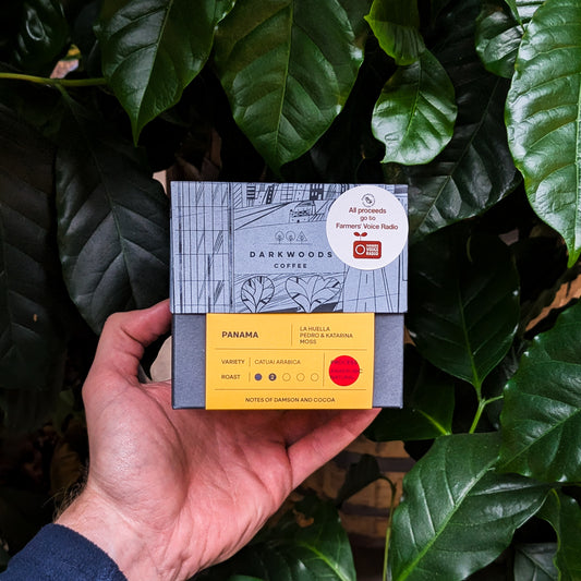 Panama La Huella (Natural Anaerobic)