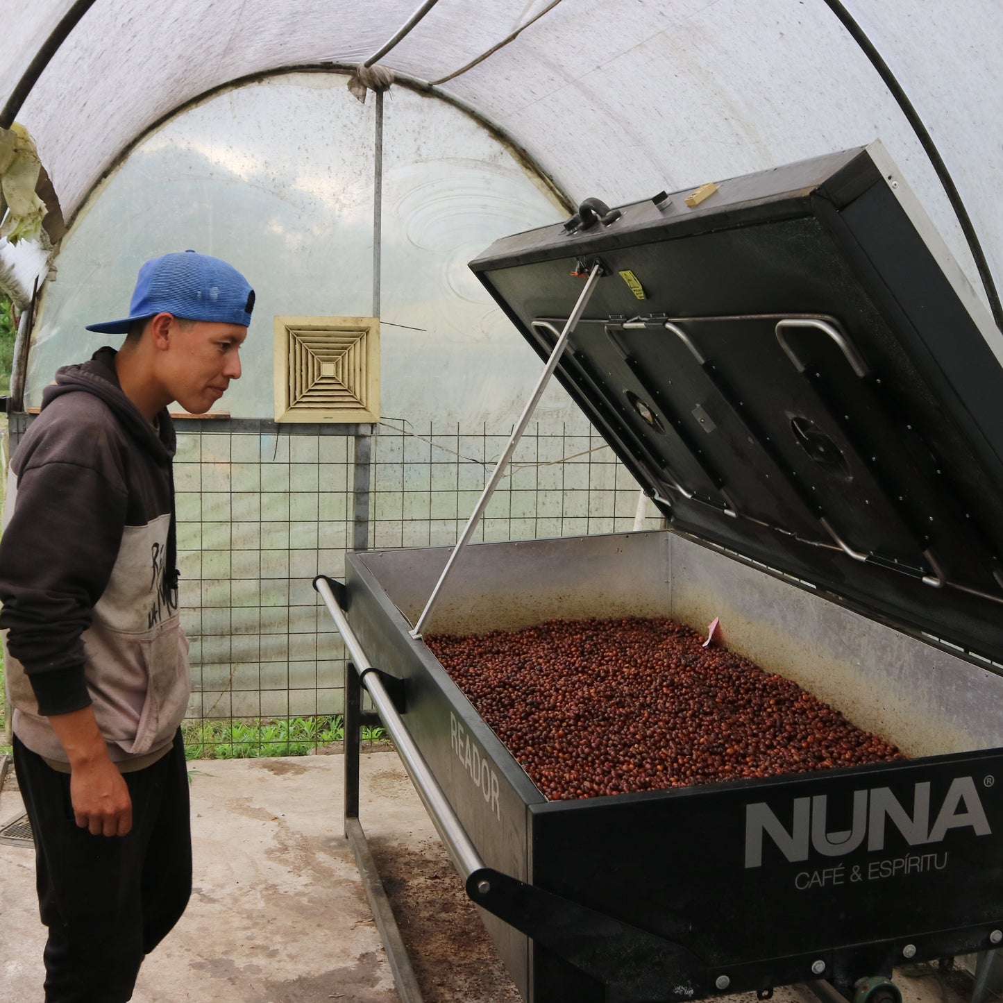 Ecuador San Agustin Heirloom (Natural)