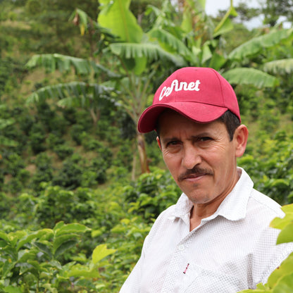 Colombia Villa Betulia Papayo (Natural)