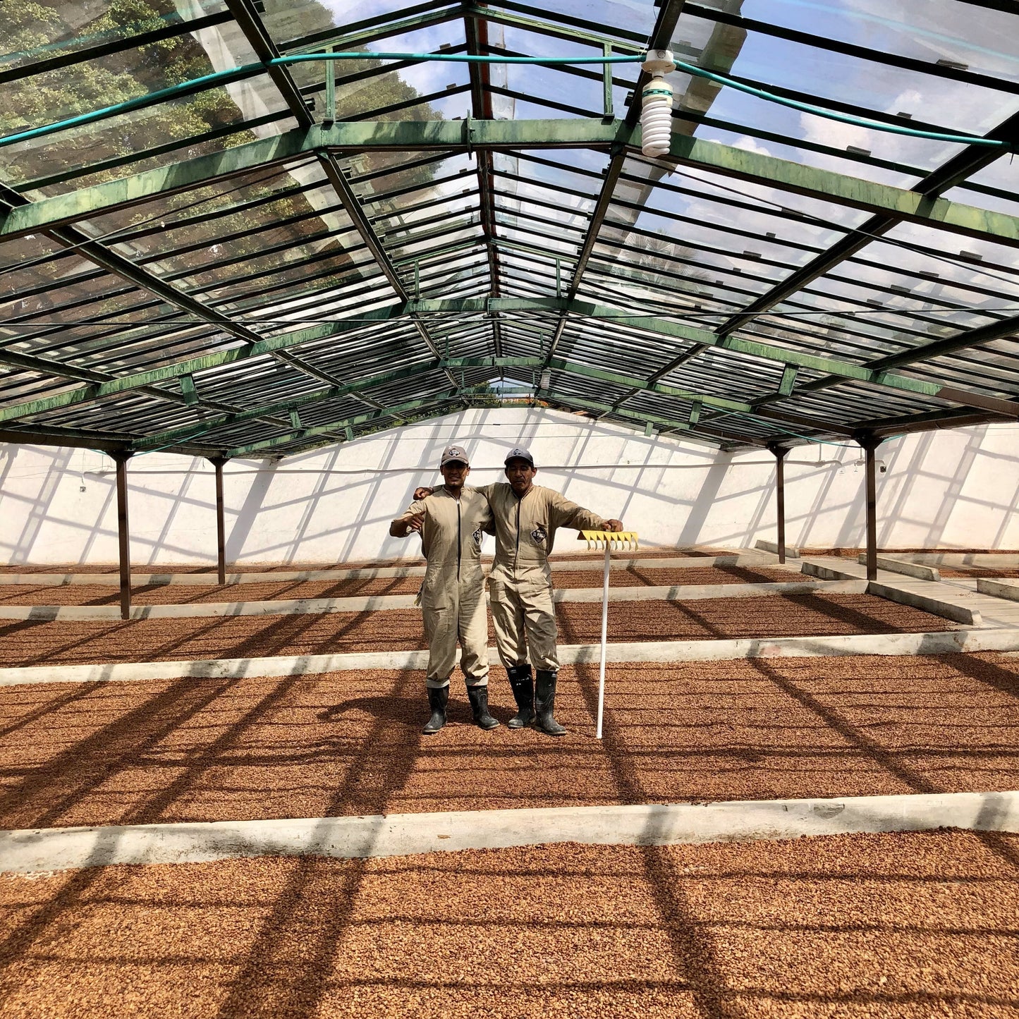 Colombia El Placer Pink Fruits